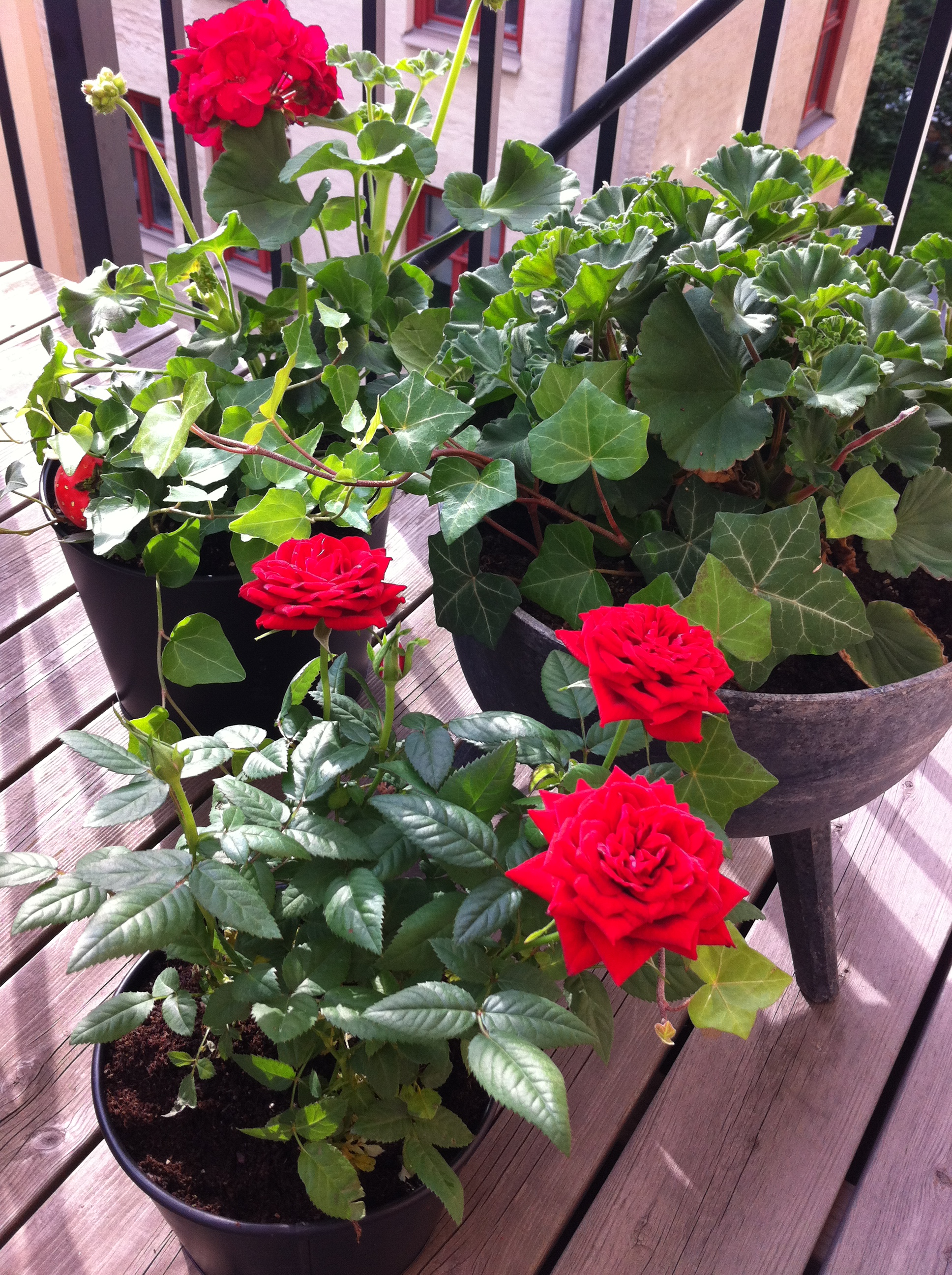 Altan – inspiration inredning