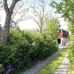 sommarhus